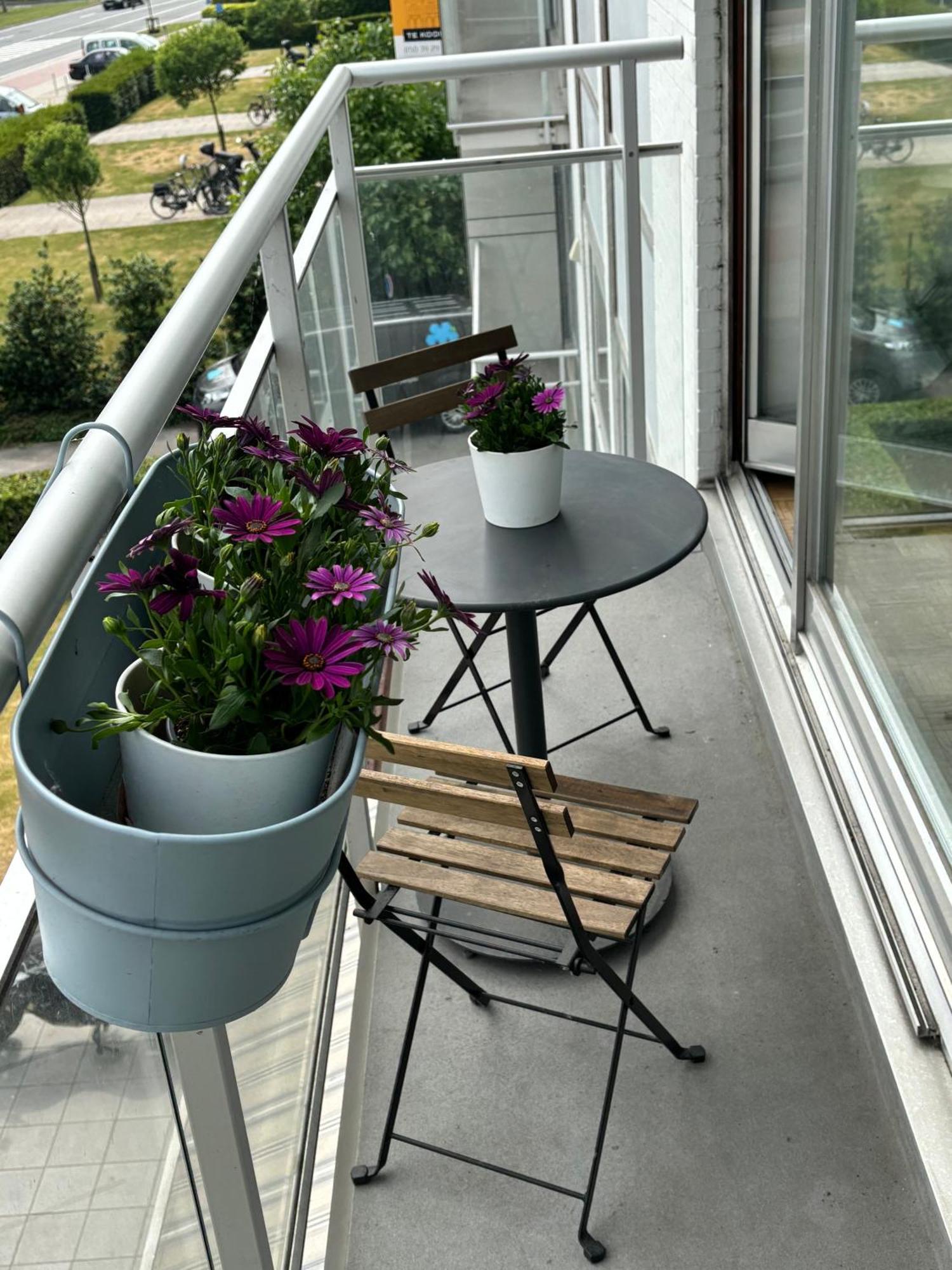 Appartement Wonderful Family In *